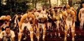 photo of team run from Remember The Titans